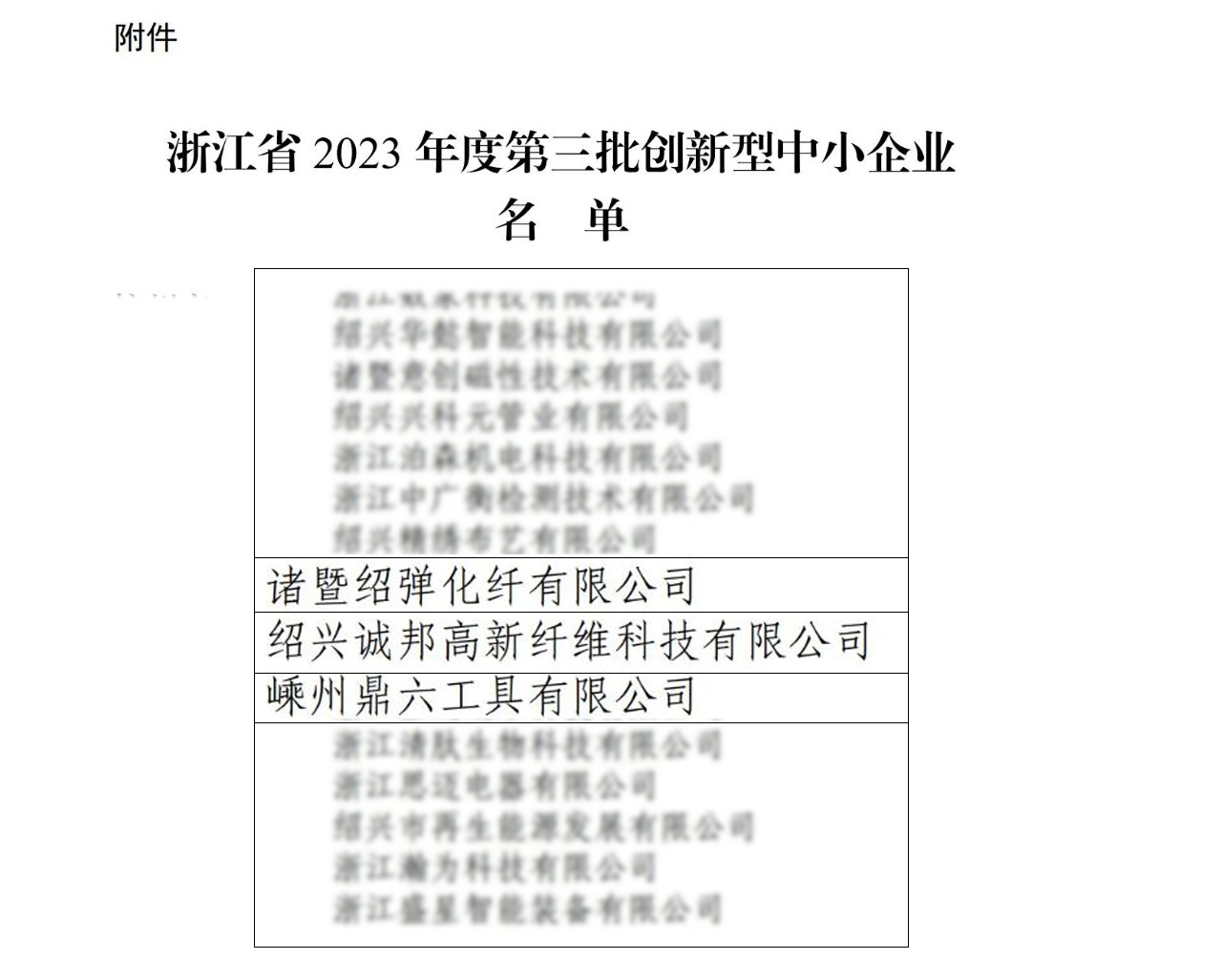 诚邦高新纤维荣获2023 年度第三批立异型中小企业-合乐HL8
